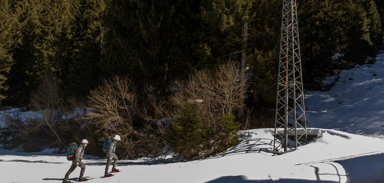 ENDESA (ENEL): Remote vegetation pruning system to improve safety and efficiency
